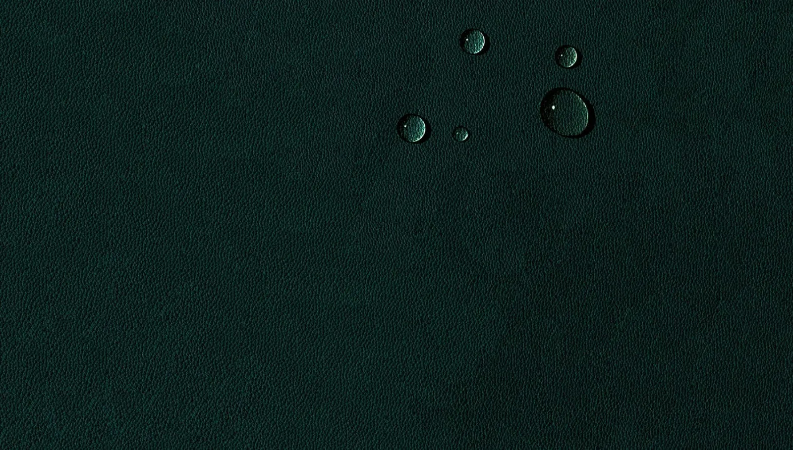 cabinet bg